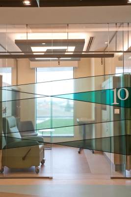 Glass Partition Systems