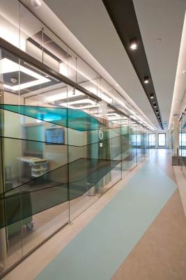 Glass Partition Systems