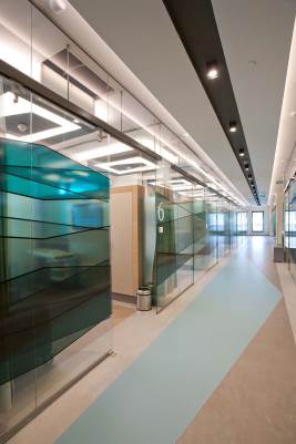 Glass Partition Systems