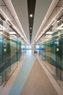 Glass Partition Systems